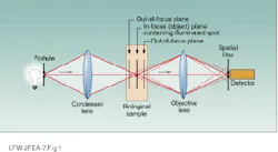 Th Lfw29995 43 Th Lfw29995 43