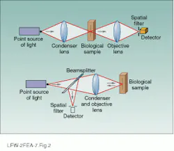 Th Lfw29995 44 Th Lfw29995 44
