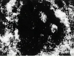 Th Lfw29995 48 Th Lfw29995 48