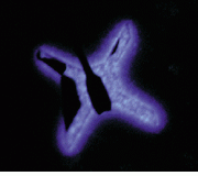 Blue-light-emitting LED is the result of gallium nitride semiconductor-growth research using device characteristics to monitor fabrication processes.