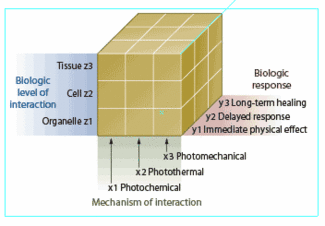 FIGURE 1. The laser-tissue interaction cube comprises three axes: (x) the mechanisms of interaction, (y) the time course of the tissue response, and (z) the level of biologic structures. When laser energy irradiates tissue and something happens, the resulting event will map somewhere in this cube.