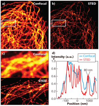 Imaging of a fluorescent-stained mammalian microtubular cell network shows better detail using the single-path STED microscope (b) than a conventional confocal microscope (a), especially evident in a close-up region (c) in which STED microscopy discerned individual fibers. The smallest distance between well-resolved features for the STED setup is 80 nm (d).
