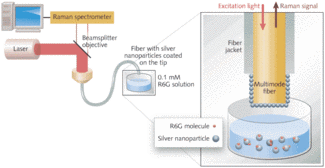 FIGURE 1. The double substrate SERS probe involves a multimode fiber sensor (enlarged at right) with a coating of silver nanoparticles on its tip that react with the target solution. The excitation source is directed through the fiber, while the Raman signal is directed back up through the fiber for detection.