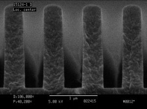 Content Dam Lfw Online Articles 2016 03 Holographix Web