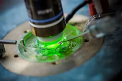 Content Dam Bow Online Articles 2016 04 Rubin 2016 Optogenetik Abb04 Web Content Dam Bow Online Articles 2016 04 Rubin 2016 Optogenetik Abb04 Web