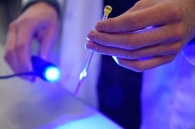 Content Dam Bow Online Articles 2016 04 Visionprotein Article