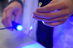 Content Dam Bow Online Articles 2016 04 Visionprotein Article Content Dam Bow Online Articles 2016 04 Visionprotein Article