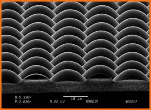 Content Dam Lfw Online Articles 2016 05 Holographix Web