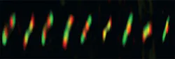 Content Dam Bow Online Articles 2016 06 2016 04 28 Hpi Ecoli Protein Rings Web Content Dam Bow Online Articles 2016 06 2016 04 28 Hpi Ecoli Protein Rings Web