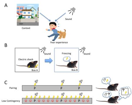 Content Dam Bow Online Articles 2016 06 Fig2web V2
