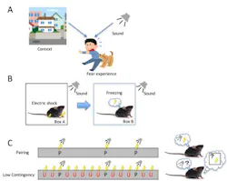 Content Dam Bow Online Articles 2016 06 Fig2web V2 Content Dam Bow Online Articles 2016 06 Fig2web V2