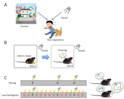 Content Dam Bow Online Articles 2016 06 Fig2web V2 Content Dam Bow Online Articles 2016 06 Fig2web V2