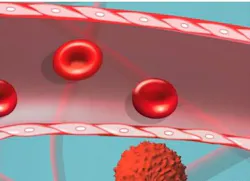 Content Dam Bow Online Articles 2016 07 Stemcells Content Dam Bow Online Articles 2016 07 Stemcells