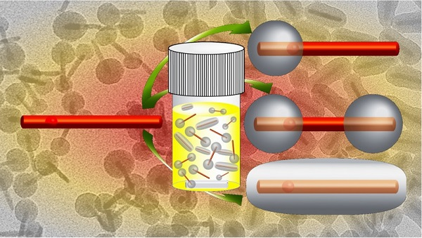 Morphological control of the silica shell on CdSe/CdS core/shell quantum dot nanorods is reported, giving single or double lobes of silica or a uniform silica shell.