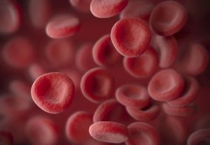 Content Dam Bow Online Articles 2016 08 Bloodbags Web