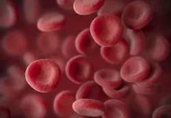 Content Dam Bow Online Articles 2016 08 Bloodbags Web Content Dam Bow Online Articles 2016 08 Bloodbags Web