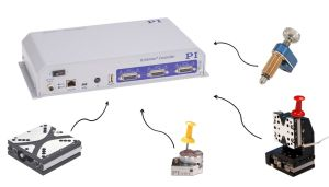 Content Dam Lfw Online Articles 2016 08 Pi