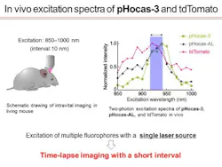 Image 1 Web Image 1 Web