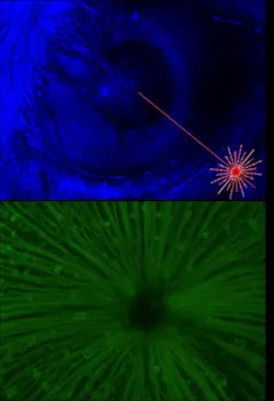 Content Dam Bow Online Articles 2016 09 122741 Web2 Content Dam Bow Online Articles 2016 09 122741 Web2