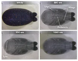 Content Dam Lfw Print Articles 2016 10 1610lfw Nb F5 Content Dam Lfw Print Articles 2016 10 1610lfw Nb F5