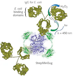 Content Dam Lfw Print Articles 2016 11 1611lfw Nb F1 Content Dam Lfw Print Articles 2016 11 1611lfw Nb F1