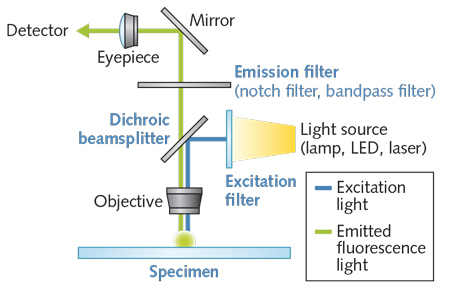 FIGURE 1. The optical system of a confocal microscope contains numerous flat optics.