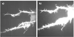 FIGURE 1. Quantum efficiency (QE) compared: an image taken with a camera having a standard 82% QE (a) is contrasted with that for a camera with 95% QE (b), both at a 100-frame average. FIGURE 1. Quantum efficiency (QE) compared: an image taken with a camera having a standard 82% QE (a) is contrasted with that for a camera with 95% QE (b), both at a 100-frame average.