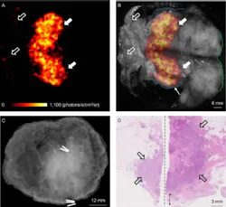 Content Dam Bow Online Articles 2017 06 Figure 1496329358054 6 Web Content Dam Bow Online Articles 2017 06 Figure 1496329358054 6 Web