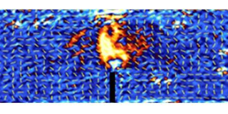 Optical birefringence mapping enables concrete stress testing