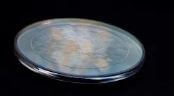 A fused-silica axicon array beam shaper made by PowerPhotonic is used with multimode lasers and handles peak and pulsed power of up to 20 kW continuous-wave (CW). The beam shaper has an efficiency of greater than 98% and can be used to generate ring-shaped spots—a typical requirement for materials processing applications. A fused-silica axicon array beam shaper made by PowerPhotonic is used with multimode lasers and handles peak and pulsed power of up to 20 kW continuous-wave (CW). The beam shaper has an efficiency of greater than 98% and can be used to generate ring-shaped spots—a typical requirement for materials processing applications.