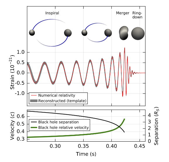 The calculated gravitational wave amplitude is shown for colliding black holes (top). The Keplerian effective black hole separation, in units of the Schwarzschild radius, and relative velocity, in units of the speed of light, are shown (bottom).