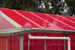 Adding luminescent solar concentrators atop greenhouses doesn't hurt plant growth (and sometimes helps) Adding luminescent solar concentrators atop greenhouses doesn't hurt plant growth (and sometimes helps)