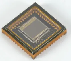 Content Dam Lfw Online Articles 2018 01 Nit Nsc1602 300dpi 002 Content Dam Lfw Online Articles 2018 01 Nit Nsc1602 300dpi 002