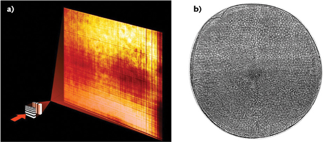 Two perpendicularly oriented Laue lenses focus an x-ray beam into a small spot (a). An object under investigation can then be placed into the optical path and its image recorded by the detector (courtesy of DESY, Andrew Morgan/Sa&scaron;a Bajt). Using this new setup, the silica shell of the diatom Actinoptychus senarius, which measures 0.1 mm across, is shown in fine detail in this x-ray hologram recorded at 5000-fold magnification. The lenses focused an x-ray beam to a spot about 8 nm in diameter, which then expanded to illuminate the diatom and form the hologram (courtesy of DESY/AWI, Andrew Morgan/Sa&scaron;a Bajt/Henry Chapman/Christian Hamm).