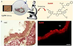 Content Dam Bow Online Articles 2018 04 Rsz Fig1 Content Dam Bow Online Articles 2018 04 Rsz Fig1