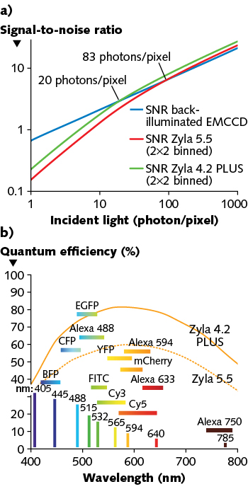 FIGURE 1. A comparison (a) of the signal-to-noise ratio vs. photon intensity for two types of Zyla cameras made by Andor Technology to that of the company&rsquo;s iXon back-illuminated electron-multiplying CCD (EMCCD) shows that the EMCCD is best for the lowest photon rates, including single photon counting, while sCMOS takes over for higher (but still very low) photon rates). The quantum efficiency (QE) of Andor&rsquo;s Zyla cameras is optimized for use with a range of fluorophores (b).