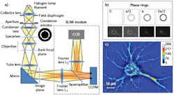 FIGURE 1. SLIM provides high axial resolution optical sectioning and renders 3D tomographic maps of live, unstained cells (a); the phase rings and their corresponding images recorded by the camera (b) and a SLIM quantitative phase image of a hippocampal neuron (c) are also shown. FIGURE 1. SLIM provides high axial resolution optical sectioning and renders 3D tomographic maps of live, unstained cells (a); the phase rings and their corresponding images recorded by the camera (b) and a SLIM quantitative phase image of a hippocampal neuron (c) are also shown.