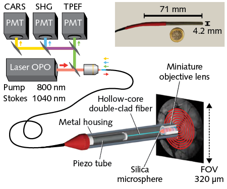 FIGURE 1. The multimodal endoscope concept, developed by researchers at Institut Fresnel, includes a piezo tube actuator that scans a miniature objective in a typical spiral pattern; the system based on this schematic performs multimodal imaging at high resolution, making a step toward real-time, intraoperative, label-free imaging.