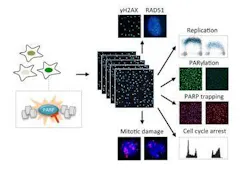 Content Dam Bow Article 2018 7 Rsz 1graphicalabstract Web Content Dam Bow Article 2018 7 Rsz 1graphicalabstract Web