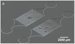 Image 2web Image 2web