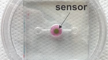 Content Dam Bow Online Articles 2018 08 Biosensor