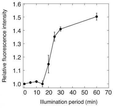 Content Dam Bow Online Articles 2018 08 Fluorescence Sensor