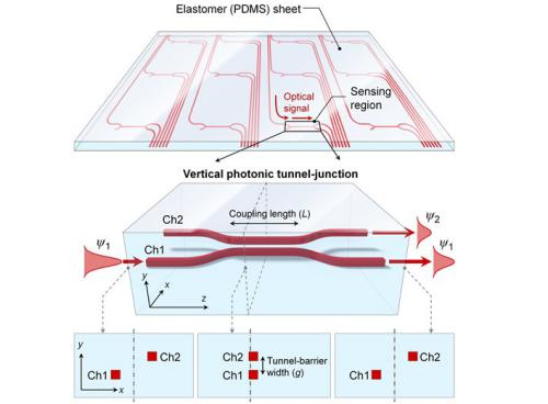 A light-based pressure sensor consists of a series of waveguides running alongside one another (top). Where the gap between the waveguides narrows, light from the first channel can jump into the second channel (bottom). Higher pressure makes the gap narrower, allowing more light to move out of channel 1 and into channel 2.