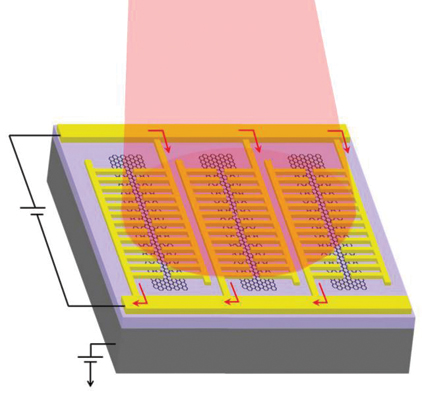 An optical photodiode made of gold-patched graphene nanostripes operates across a broad range of wavelengths and has a speed of 50 GHz.