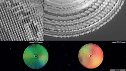 Scanning electron micrographs show extreme close-ups of the Columbia University broadband metasurface lens (top left and right). The lens is composed of silicon nanopillars with various cross-sectional shapes patterned on a glass substrate. The bottom images show two elements of a multielement metalens imaging system. Scanning electron micrographs show extreme close-ups of the Columbia University broadband metasurface lens (top left and right). The lens is composed of silicon nanopillars with various cross-sectional shapes patterned on a glass substrate. The bottom images show two elements of a multielement metalens imaging system.