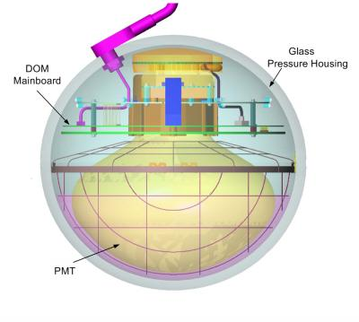 Schematic of one of IceCube's digital optical modules.