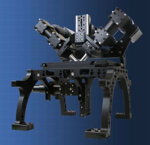 Content Dam Lfw Online Articles 2019 01 Ramm Dispim