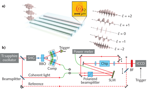 Content Dam Lfw Print Articles 2019 01 1901lfw Wn F3