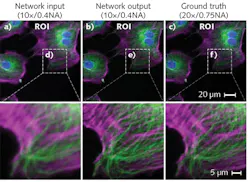 A laptop-based deep learning system converts low-resolution fluorescence microscopy images (a) into superresolution images (b) that compare favorably with images produced using high-resolution equipment (c); images on the bottom row depict detail from those on the top row. A laptop-based deep learning system converts low-resolution fluorescence microscopy images (a) into superresolution images (b) that compare favorably with images produced using high-resolution equipment (c); images on the bottom row depict detail from those on the top row.