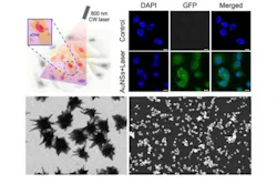 Content Dam Bow Online Articles 2019 02 Nanostars Laser Content Dam Bow Online Articles 2019 02 Nanostars Laser